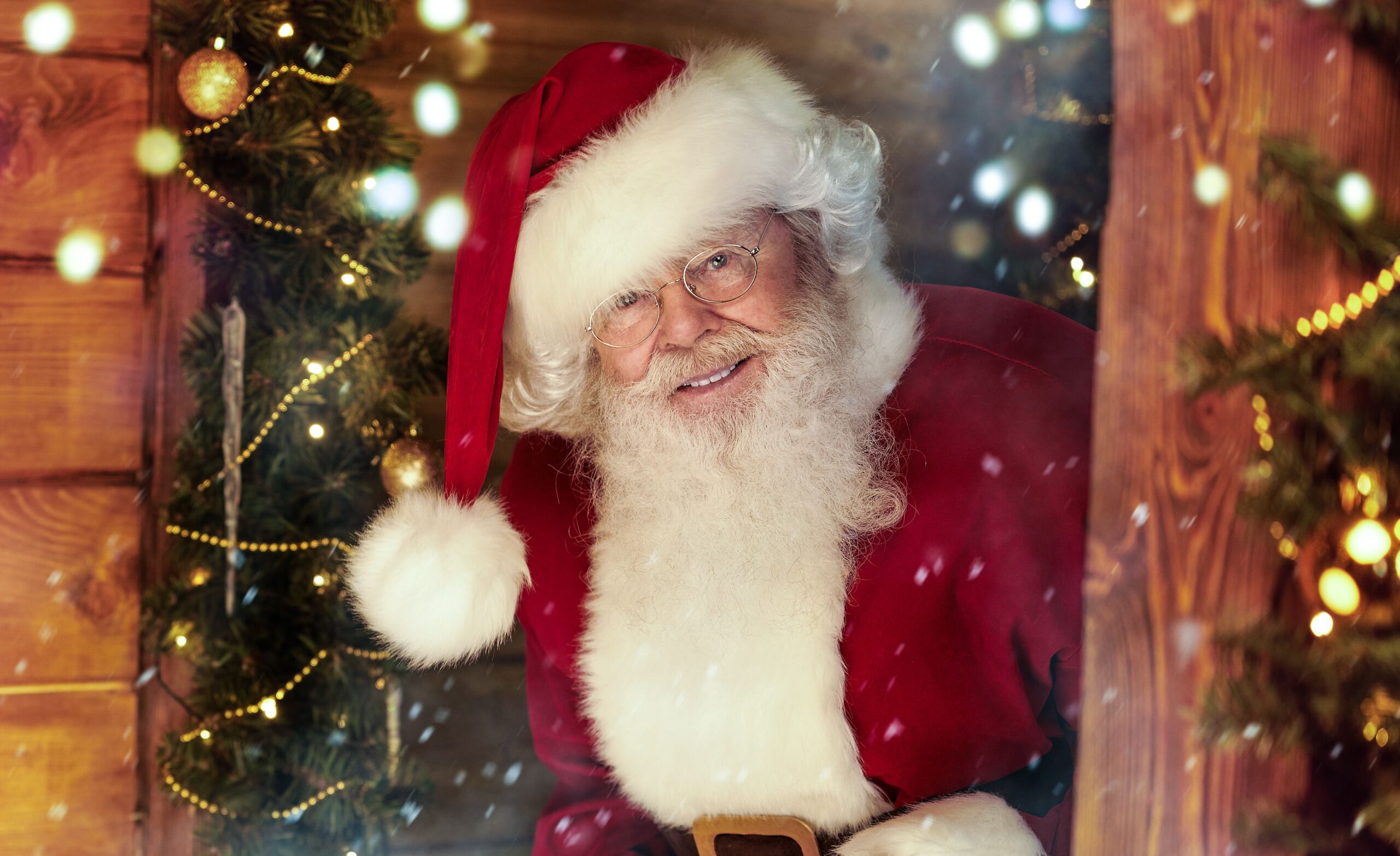 Santa Cod Image Santa Crop Image – Owl Lane Nurseries