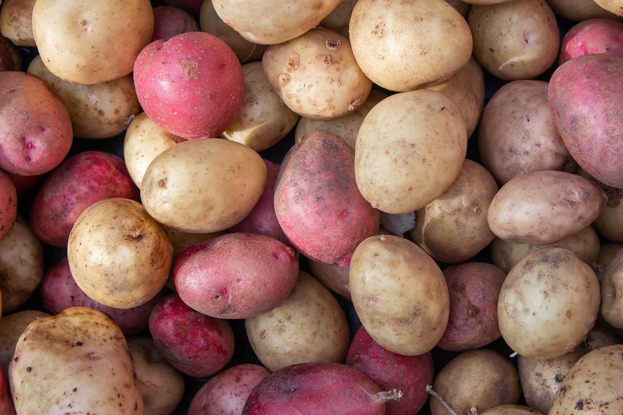 potatoes-6399454_1280