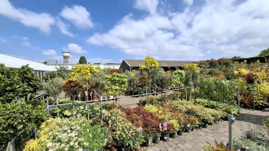 Plant-Area-May1
