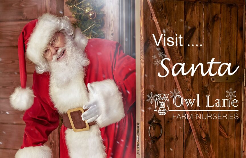 Santa Website Blog Header
