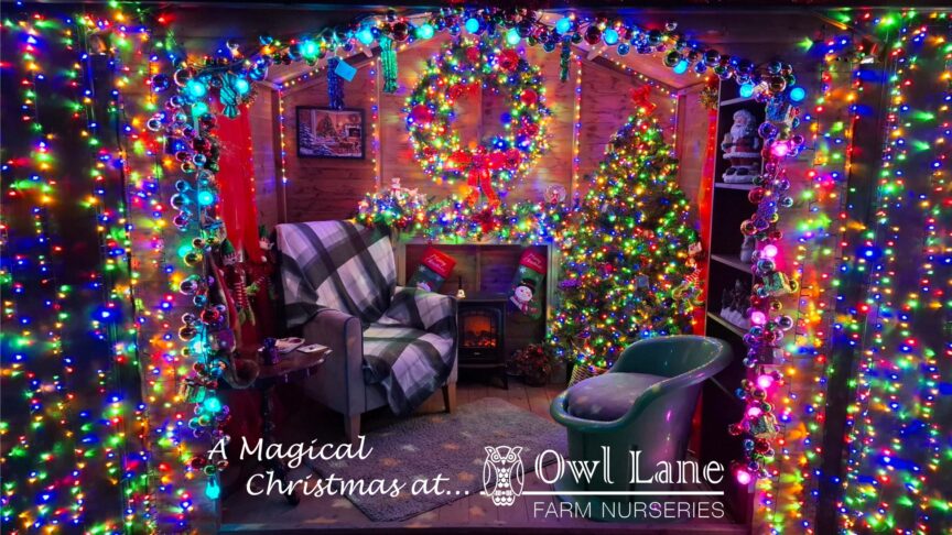 Santas Cabin9 with text
