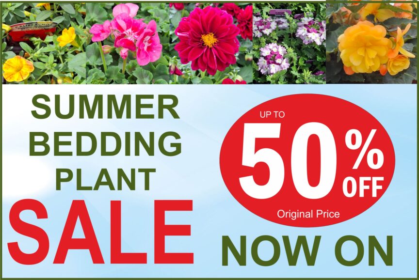 2026 50% OFF Bedding NOW ON Website Blog Header